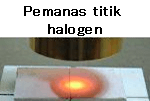 Halogen Point Heater
