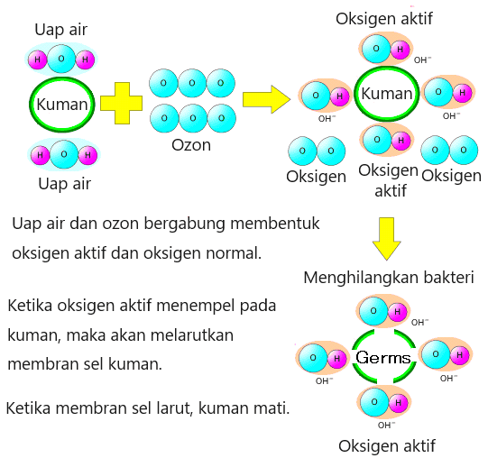 Sterilisasi ultraviolet dan penghilang bau ozon yang kuat OZ-10.OZ-20