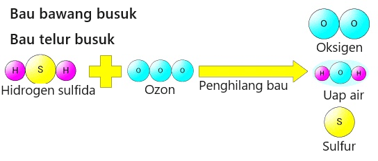 Sterilisasi ultraviolet dan penghilang bau ozon yang kuat OZ-10.OZ-20