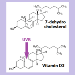 Thumbnail of related posts 102