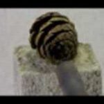 Thumbnail of related posts 010