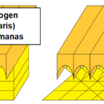 Thumbnail of post image 128