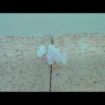 Thumbnail of related posts 108