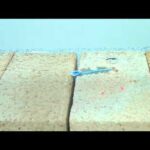 Thumbnail of related posts 047