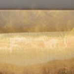 Thumbnail of related posts 153