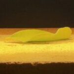 Thumbnail of related posts 017