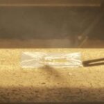 Thumbnail of related posts 162