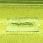 Thumbnail of post image 148