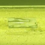 Thumbnail of post image 050