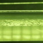 Thumbnail of post image 042