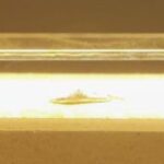 Thumbnail of post image 118