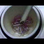 Thumbnail of related posts 125