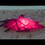 Thumbnail of related posts 105