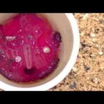 Thumbnail of related posts 037