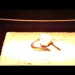 Thumbnail of related posts 134