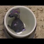 Thumbnail of related posts 198