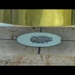 Thumbnail of related posts 181