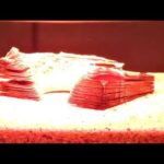 Thumbnail of related posts 104