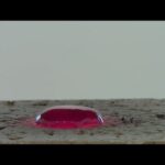 Thumbnail of post image 161