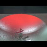 Thumbnail of related posts 068